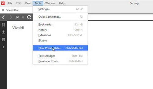 How To Delete History In Vivaldi Browser