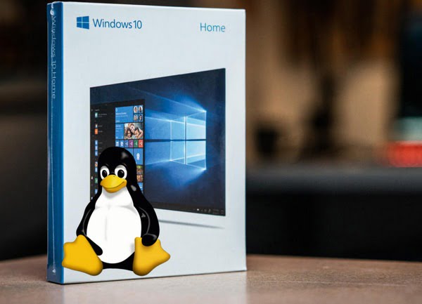 Linux with Windows 10