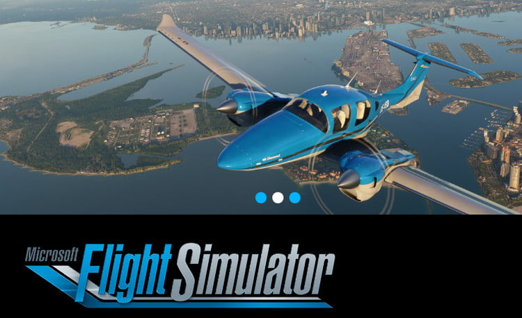 Microsoft Flight Simulator