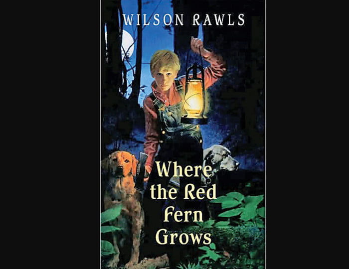 Where The Red Fern Grows Book Info