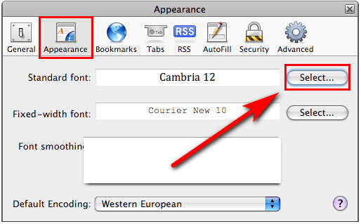 safari font settings