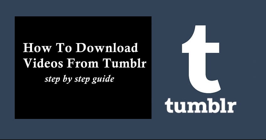download tumblr videos